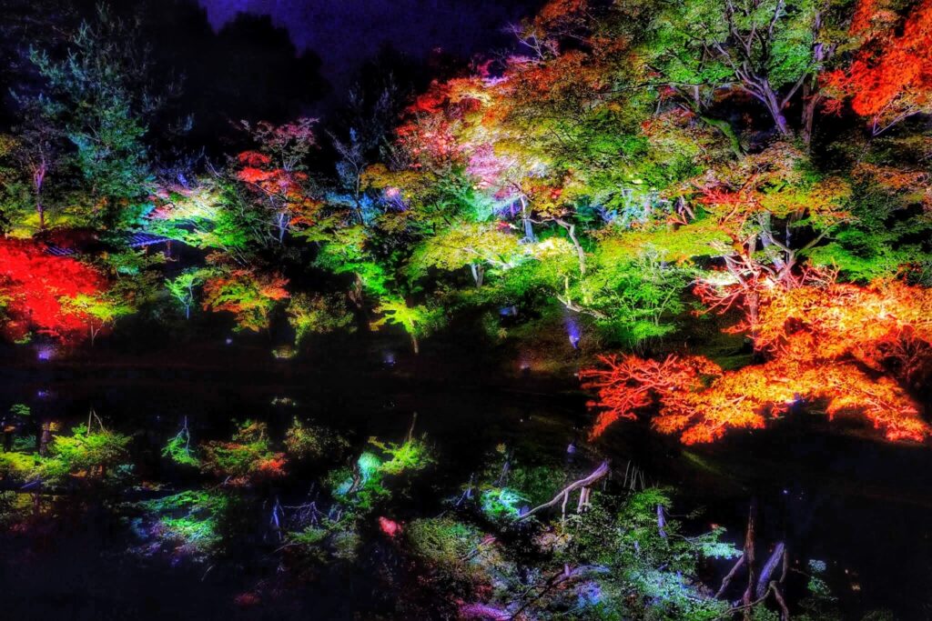 Lá đỏ tại chùa Kodaiji