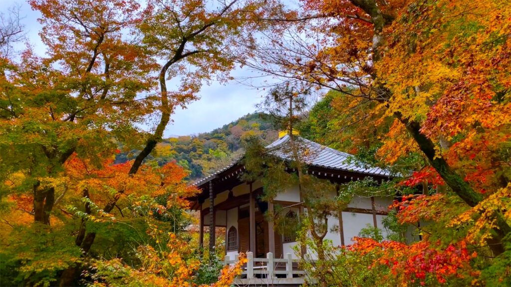 Hình ảnh Arashiyama Kyoto
