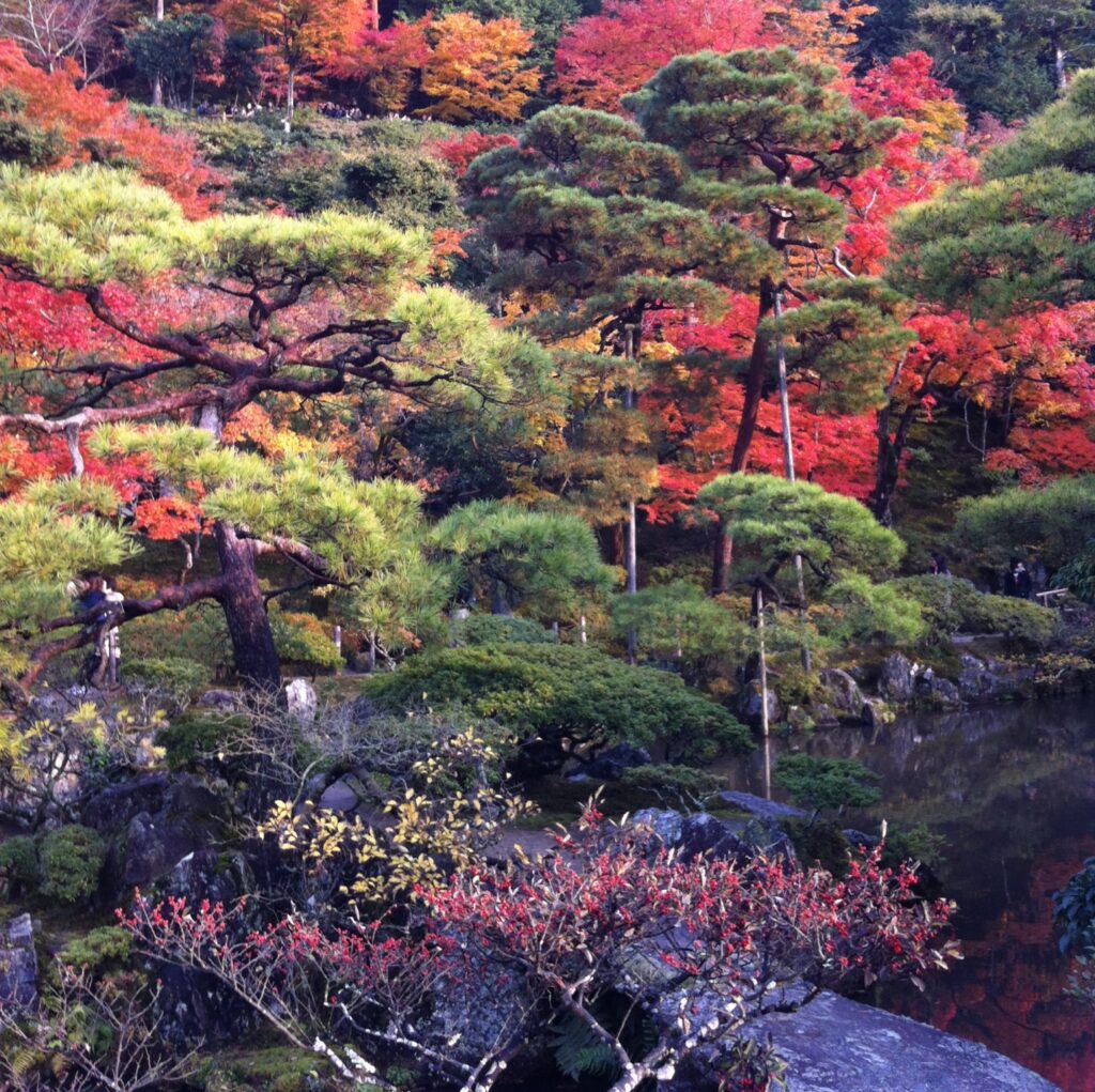 Lá đỏ tại chùa Ginkakuji