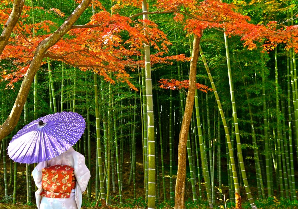 Hình ảnh kimono và phố cổ Kyoto
