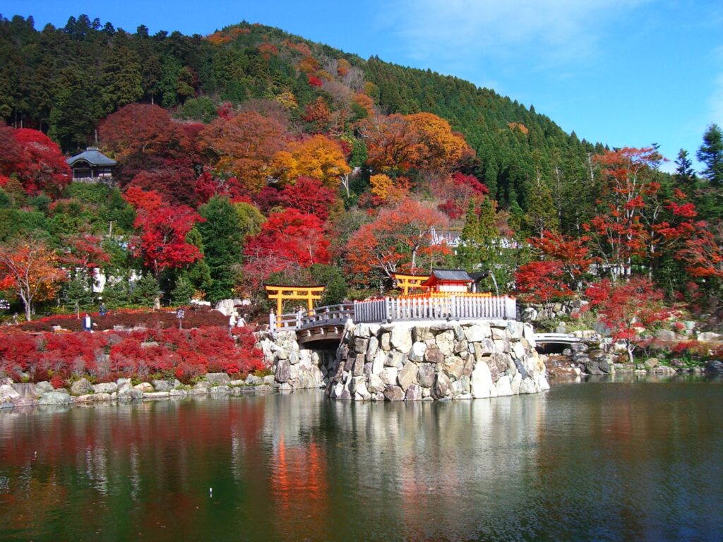 Hình ảnh lá đỏ ở chùa Katsuo-ji