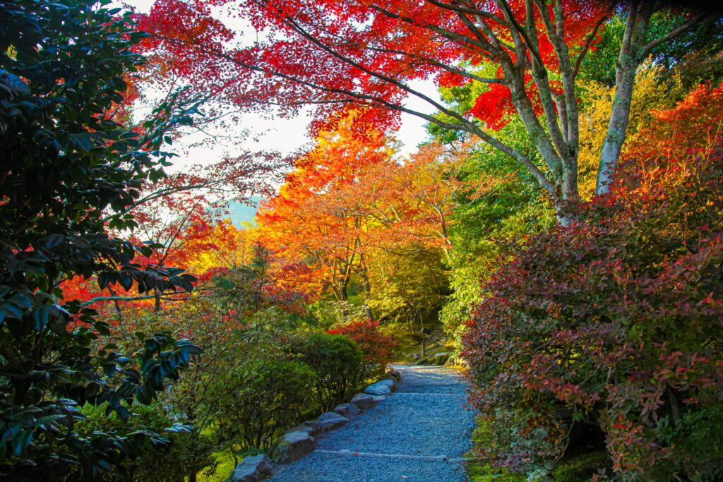 Hình ảnh Arashiyama Kyoto
