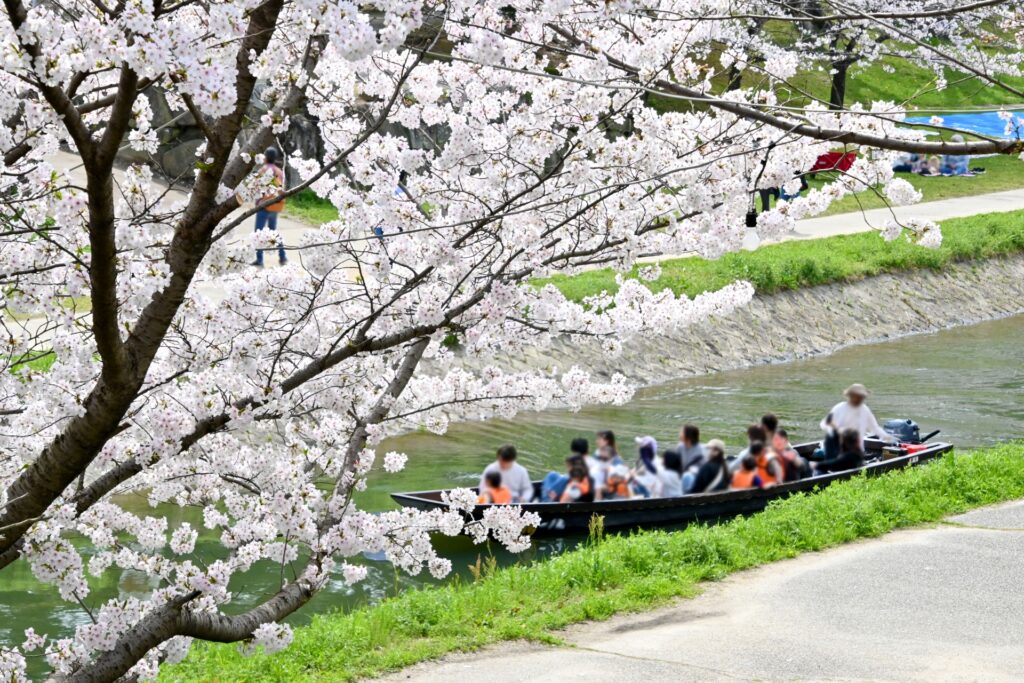 Trải nghiệm chèo thuyền trên hào nước quanh lâu đài Okazaki – thư giãn và lãng