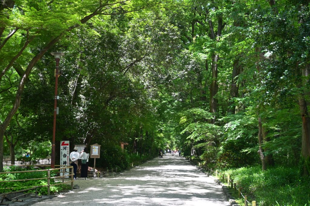 Hình ảnh đền Shimogamo Kyoto
