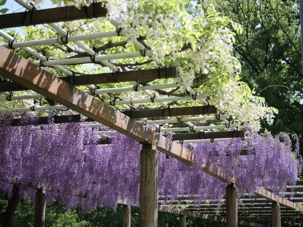Công viên Meijō