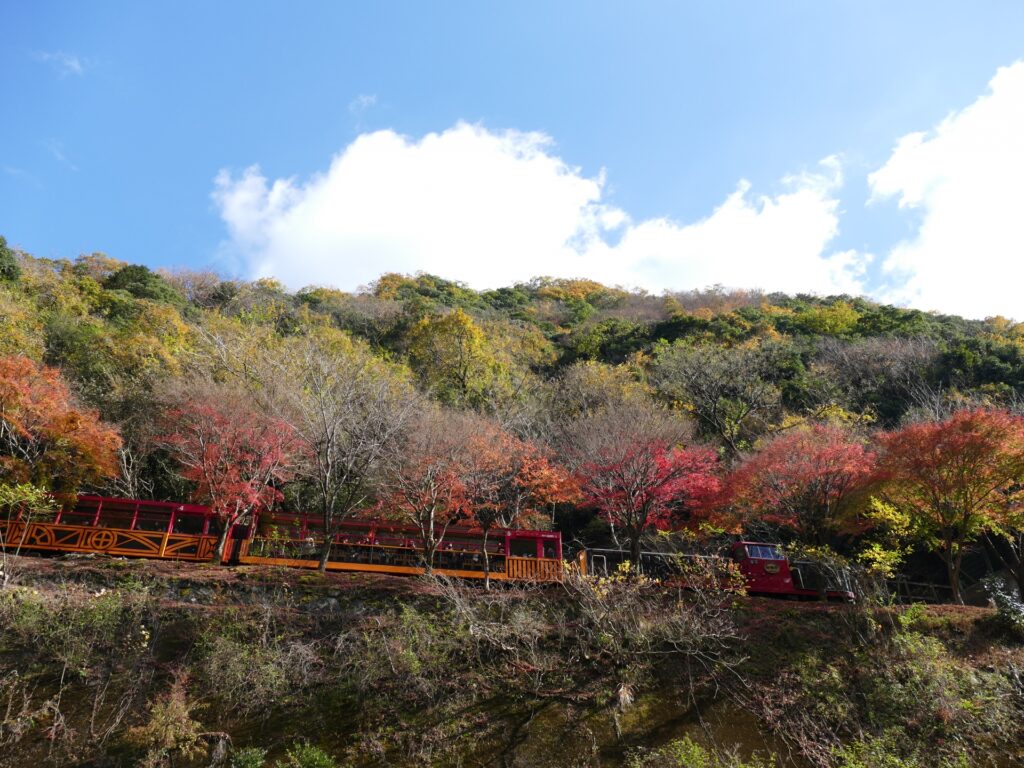 Hình ảnh Arashiyama Kyoto

