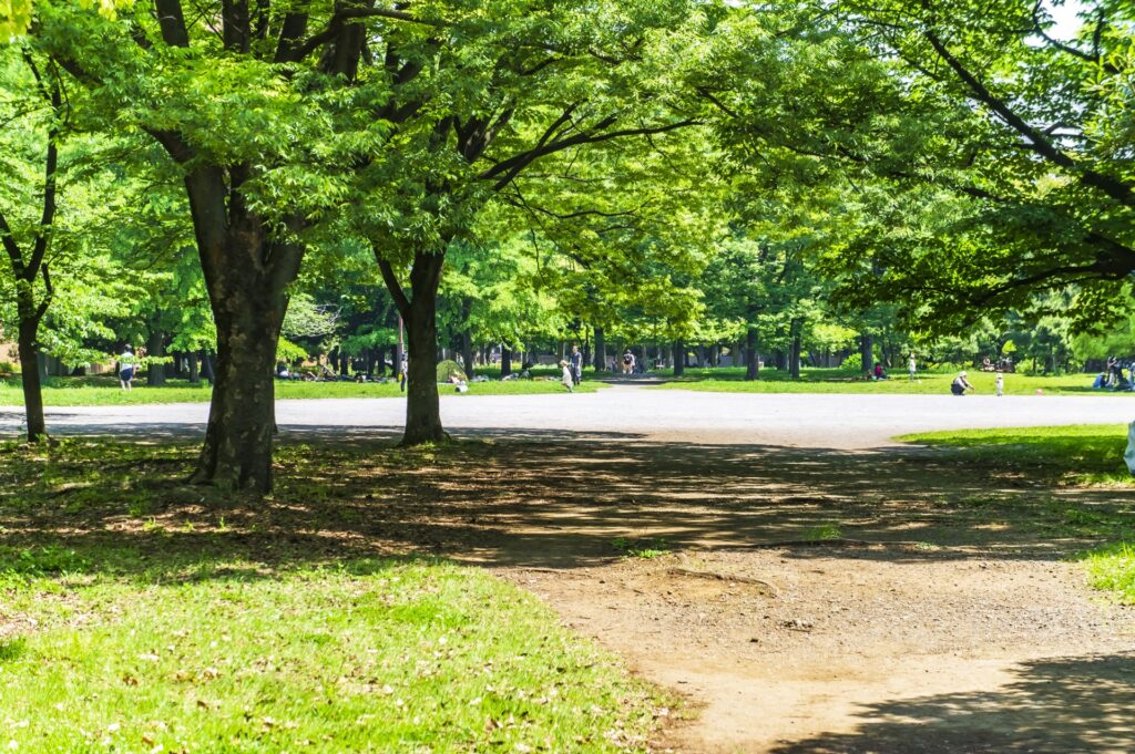 Bãi cỏ rộng tại công viên Kiyosumi vào ngày nắng đẹp