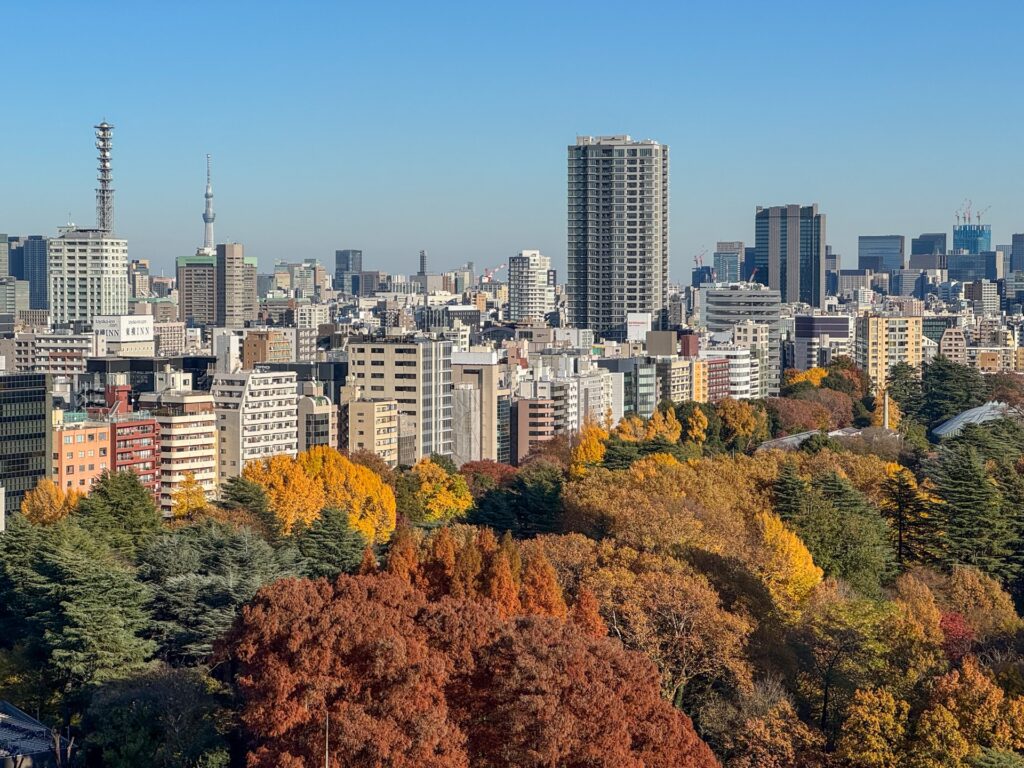Cảnh lá đỏ rực rỡ trong vườn Nhật tại Shinjuku Gyoen