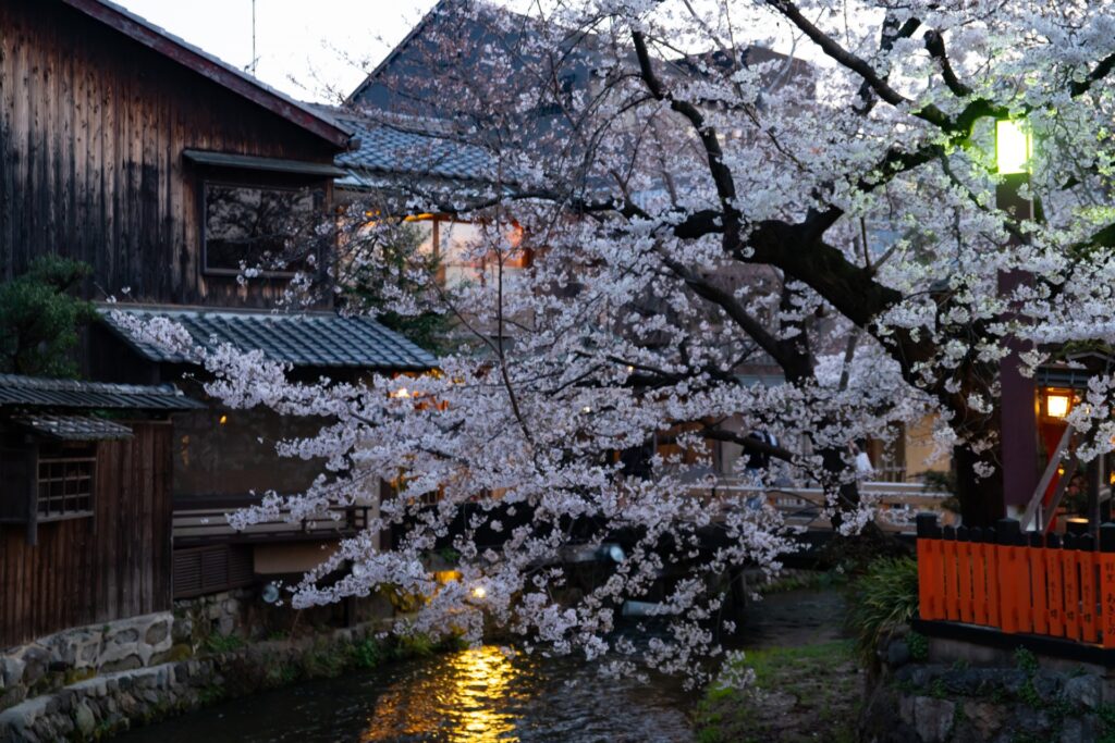 Gion Shirakawa mùa xuân với hoa anh đào và cầu đá