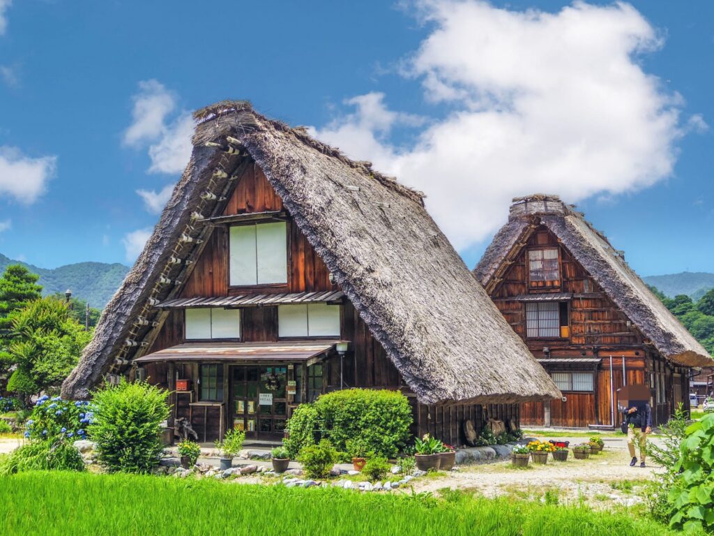 Shirakawa-go mùa xuân – mái tranh và đồng lúa xanh