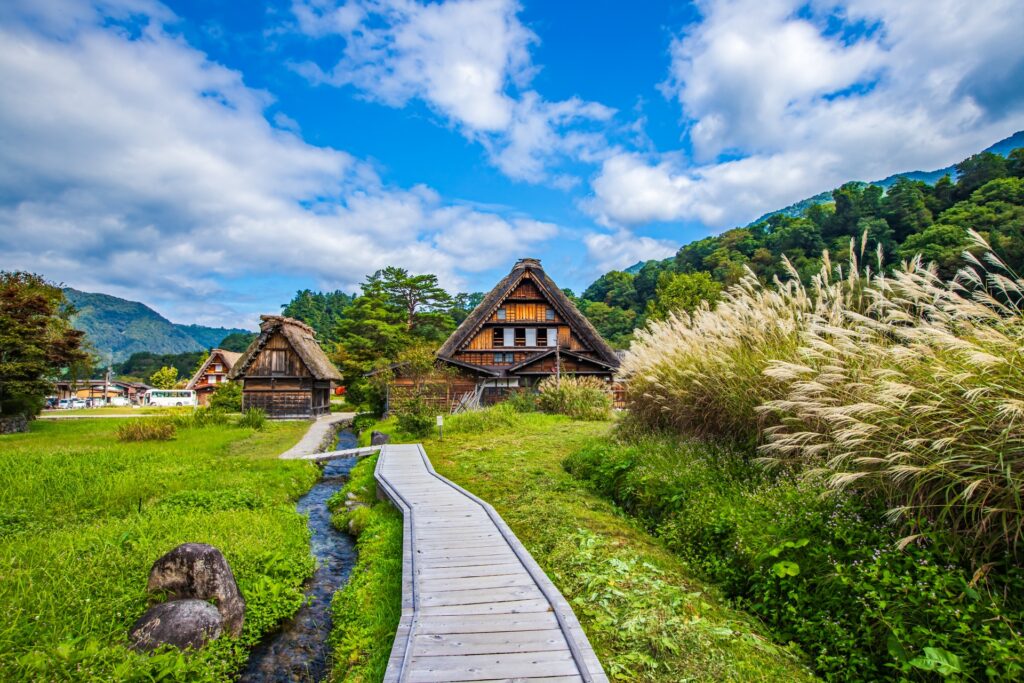 Làng Shirakawa-go xanh mướt giữa mùa hè